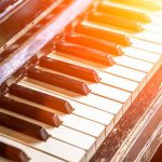 Como evitar que cupins e outras pragas infestem o piano